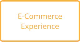 E-Commerce  Experience